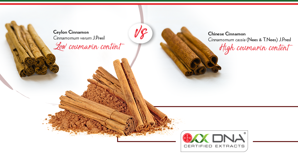 Types of Cinnamon