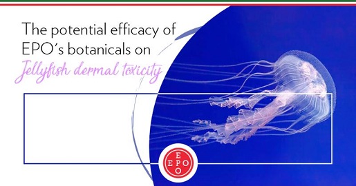 The potential efficacy of EPO’s botanical extracts on dermal toxicity due to jellyfish envenomation