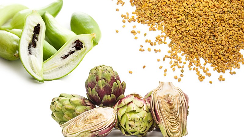 Anticholesterolemic Activity of Three Vegetal Extracts (Artichoke, Caigua, and Fenugreek) and Their Unique Blend