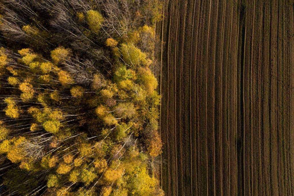 Quale futuro per la biodiversità globale?