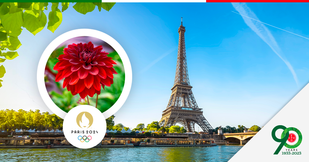 Da Parigi 2024 all’antica Olimpia, il legame secolare tra piante, fiori e Olimpiadi